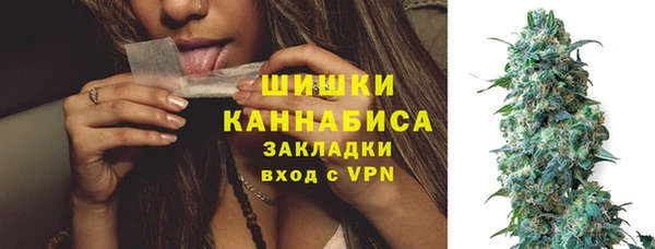 прущие грибы Нея