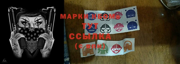 прущие грибы Нея