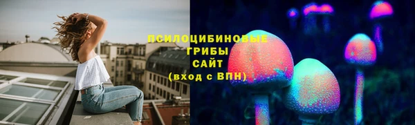 прущие грибы Нея
