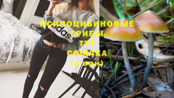 прущие грибы Нея