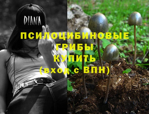 прущие грибы Нея