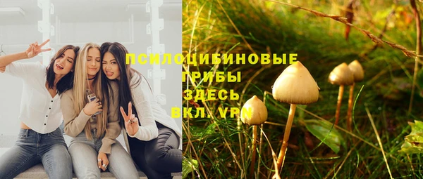 прущие грибы Нея