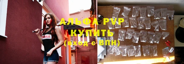 прущие грибы Нея