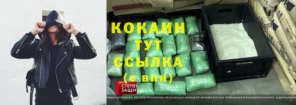 прущие грибы Нея