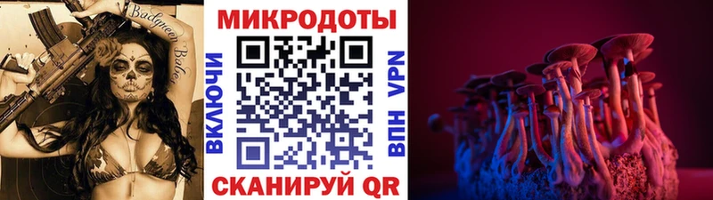 blacksprut   Почеп  Галлюциногенные грибы мухоморы 